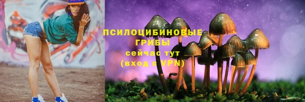 марки lsd Лабытнанги
