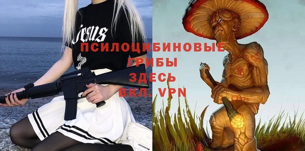 твердый Лабытнанги