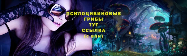 а пвп мука Кукмор